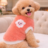 Sweatshirt  For Small Pet