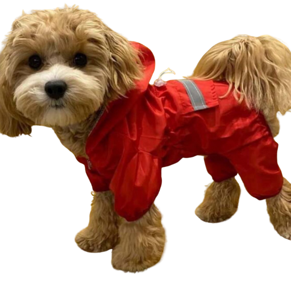 Protective Raincoat For Big Dogs