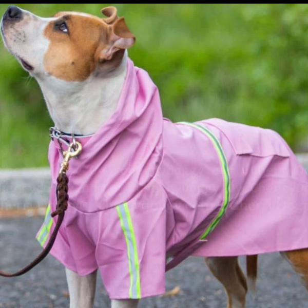 Purple Reflective Raincoat