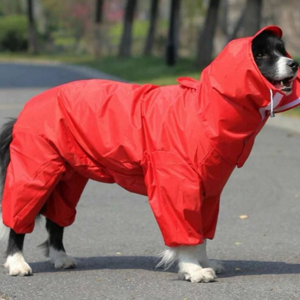 Full Coverage Raincoat for Big Dogs