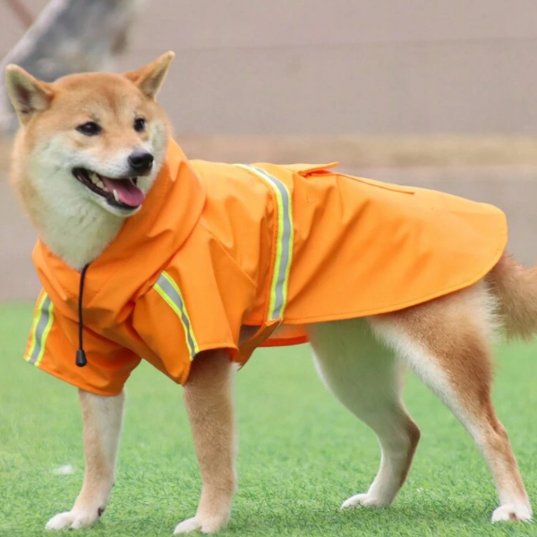 Yellow Reflective Raincoat-Big Dogs