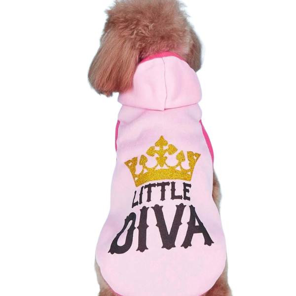 Little Diva Pink Glitter Crown👑✨