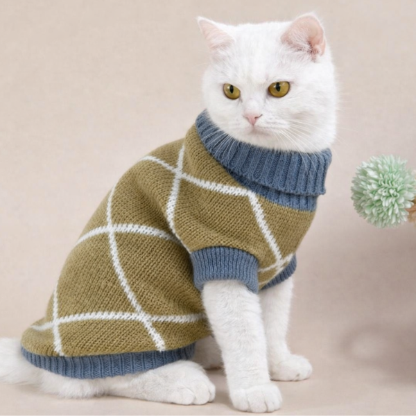 Turtleneck Wool Sweater