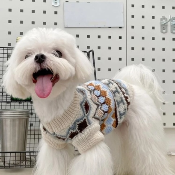 Soft Wool Sweater for Dogs