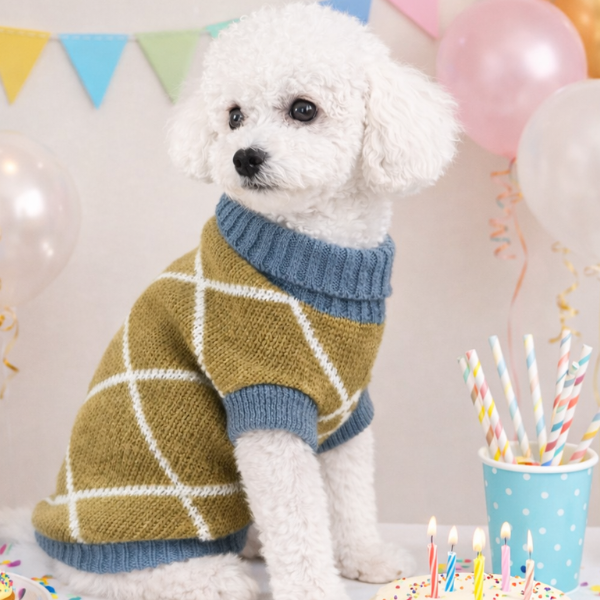 Turtleneck Wool Sweater