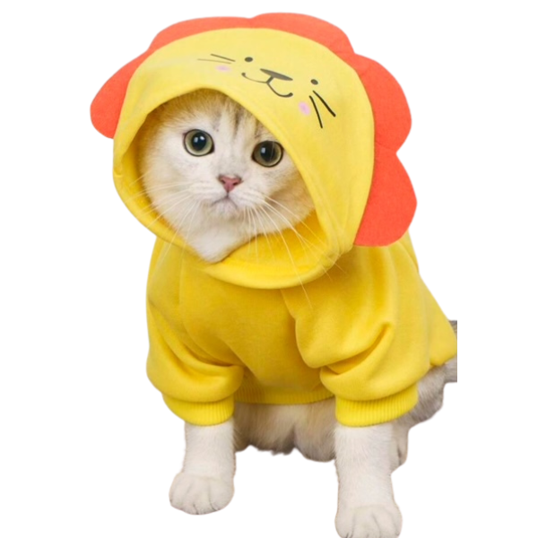 Yellow Sunflower Hoodie