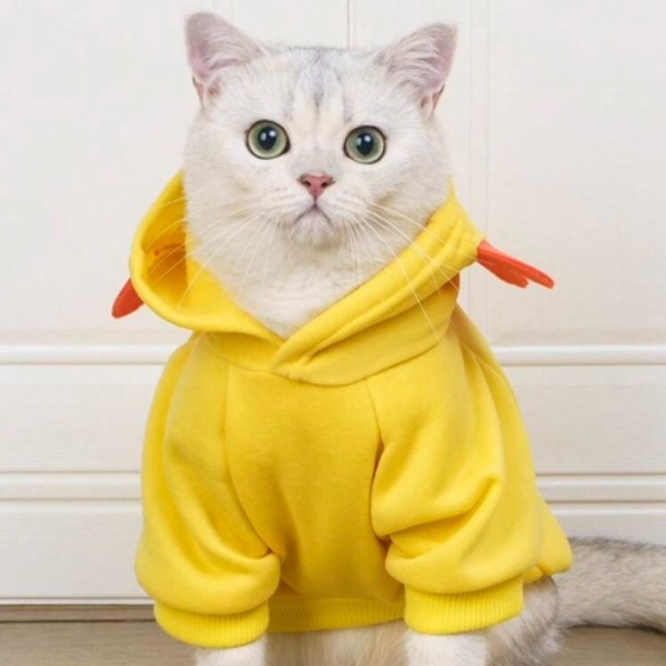 Yellow Sunflower Hoodie