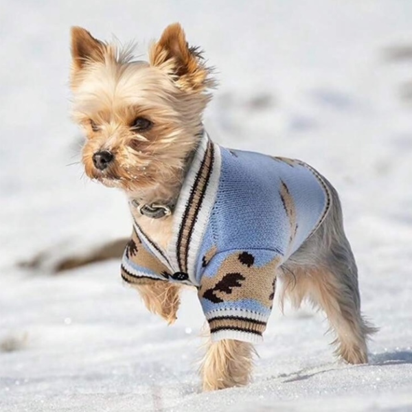 Buttoned Sweater for Dogs
