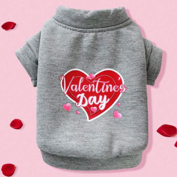 Valentine’s Day Shirt
