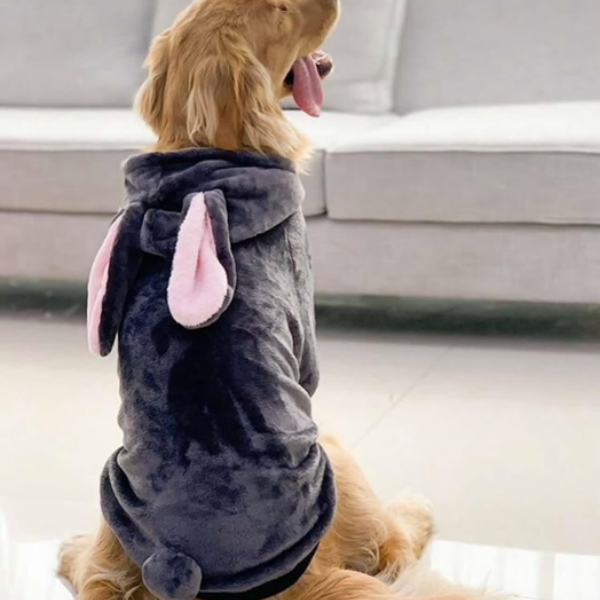 Bunny Fun Hoodie 🐰🐾