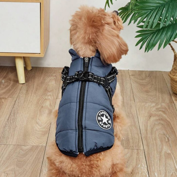 Fleece & Waterproof Adjustable Harness