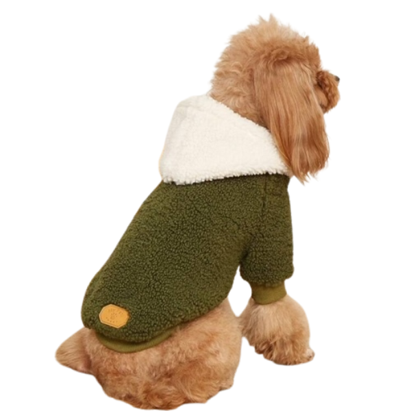 Pets Green Hoodie